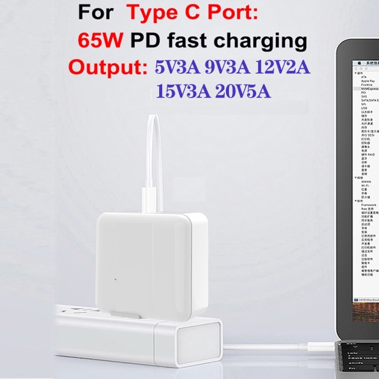 GaN 100W Dual USB + Dual USB-C/Type-C Multi Port Charger with 2m Type-C to Type-C Data Cable Set - 图片 5