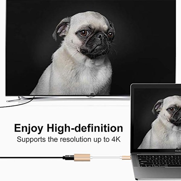 MBC7815S_8.jpg USB-C / Type-C 3.1 Male to Mini DP Female HD Converter, Length: 12cm, Silver, Gold